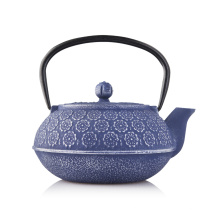 Cast Iron Teapot in Water Pot & Kettles